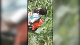 onlyfans fresh onlyfans sex shows leaks mega pack