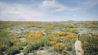 soularouge onlyfans sex mov part 3