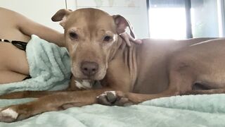 Onlyfans hot itskristinachai nude movies leaks mega pack 4
