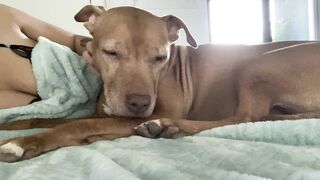 Onlyfans hot itskristinachai nude movies leaks mega pack 4
