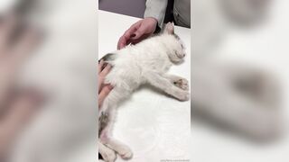 Leaked Oksi Roxi onlyfanssex movie pack part 3
