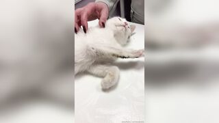 Leaked Oksi Roxi onlyfanssex movie pack part 3
