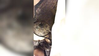 thelifeofmalij onlyfans porn movies leaks
