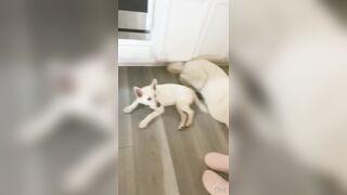 Fresh onlyfans Emma Hix porn broadcast leaks mega pack part 2
