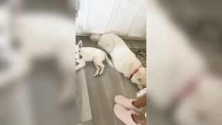 Fresh onlyfans Emma Hix porn broadcast leaks mega pack part 2
