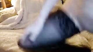 May Marmalade special onlyfans nude movs leaks part 6
