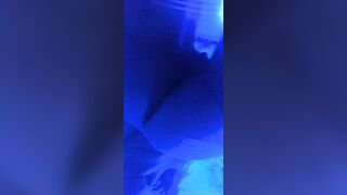 Victoria Fox outstanding onlyfans porn video pack section 7
