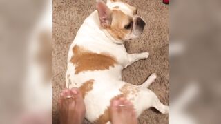 Onlyfans Lindabooxo xxx movs mega pack part 2
