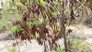 Leaked Barbierican onlyfans nude videos part 2
