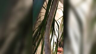 Maud Suicide onlyfans sex broadcast mega pack part 4
